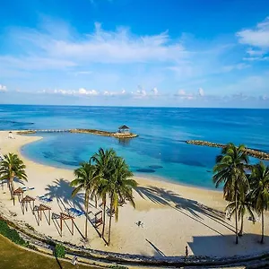 Apartment Paradise Found
